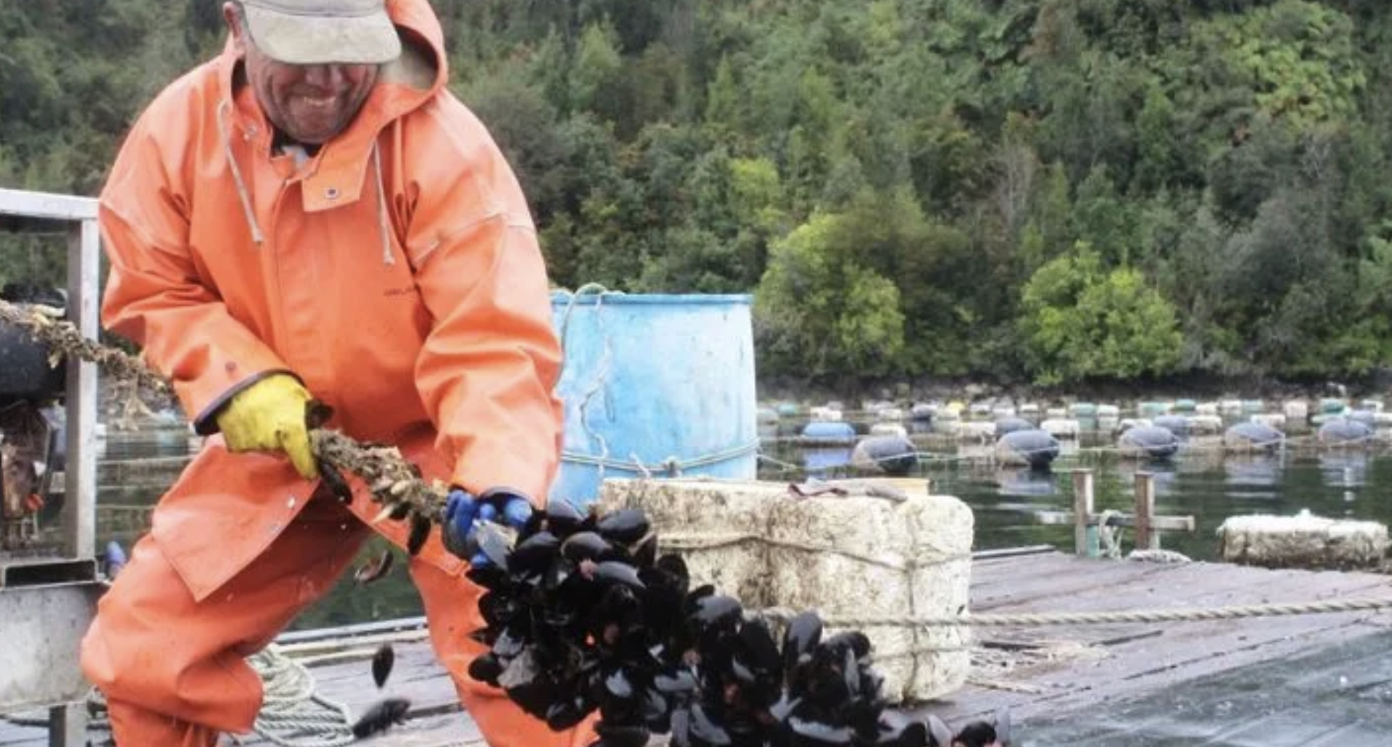 INCAR marcará presencia en Foro Iberoamericano de Recursos Marinos y Acuicultura